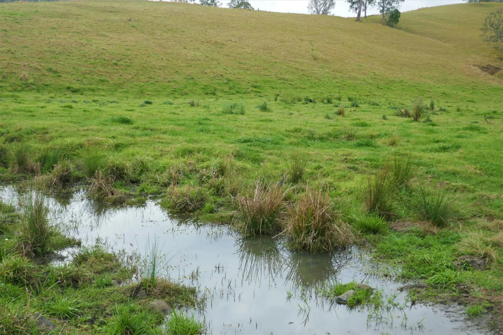 Additional image 12 of 35 Phelps Road, Kyogle NSW 2474