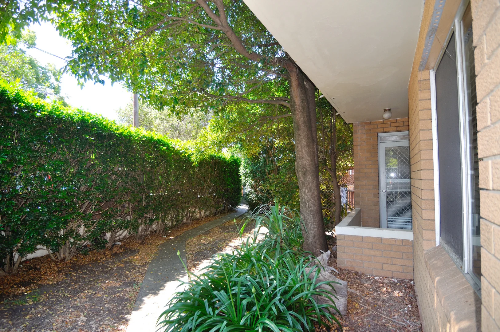 Additional image 5 of 2/358 Livingstone Road, Marrickville NSW 2204