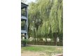 Additional image 15 of 20318 Bothell Everett Hwy Apt A303, Bothell, WA, 98012