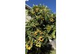 Additional image 41 of 2295 Regatta Way, San Leandro, CA, 94579