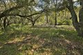 Additional image 12 of 15805 Uvas Rd, Morgan Hill, CA, 95037