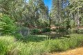 Additional image 84 of 13118 Cement Hill Rd, Nevada City, CA, 95959