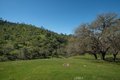 Additional image 41 of 2935 Sorrel Ln, Paso Robles, CA, 93446