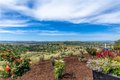 Additional image 53 of 5530 El Pharo Dr, Paso Robles, CA, 93446