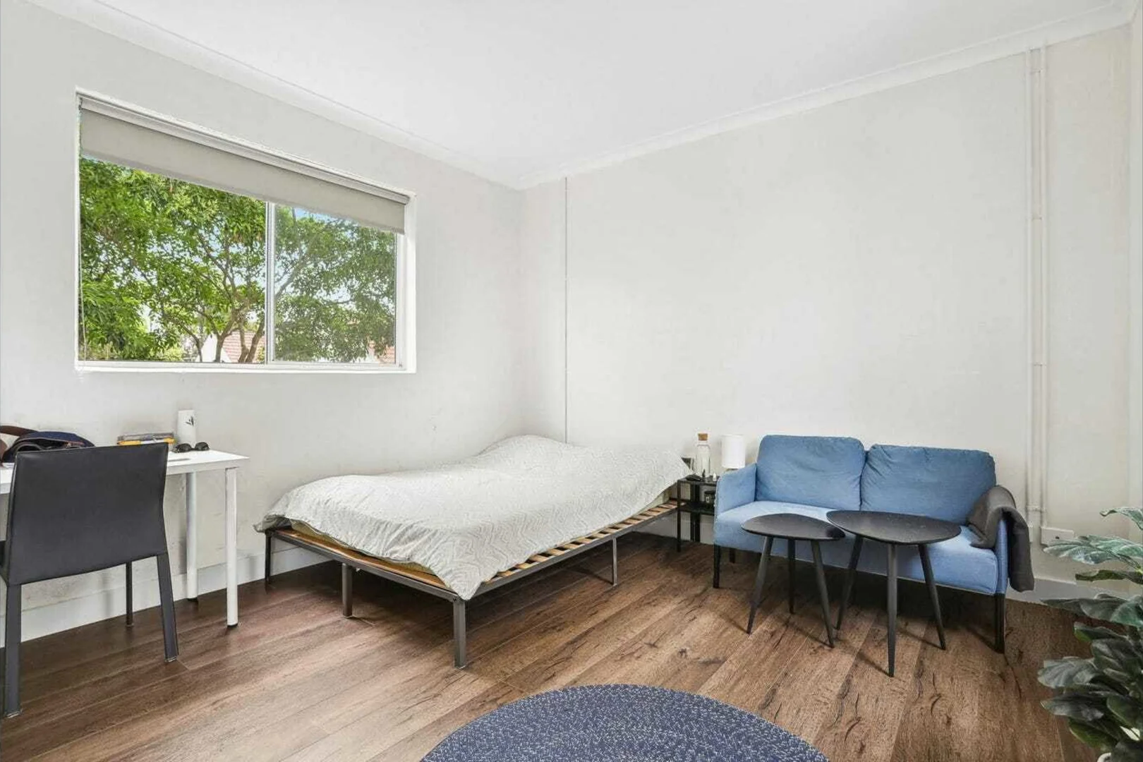 Additional image 6 of 12/117 Probert Street, Newtown NSW 2042