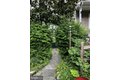 Additional image 45 of 1111 Cummings Ave, Baltimore, MD, 21228