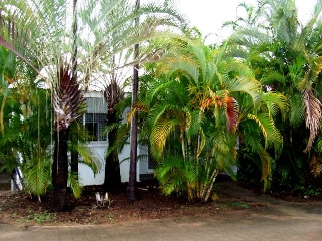 Additional image 5 of 4/13 Undoolya Street, Tiwi NT 0810