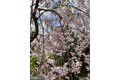 Additional image 46 of 561 Arundel Dr, Severna Park, MD, 21146