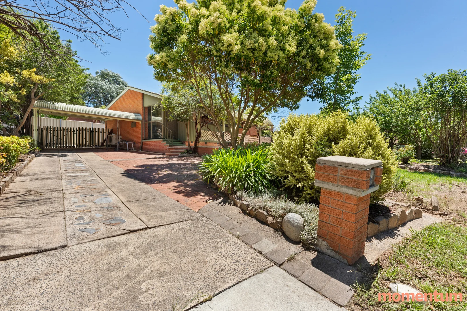 6A Service Street, Curtin ACT 2605 photo 3