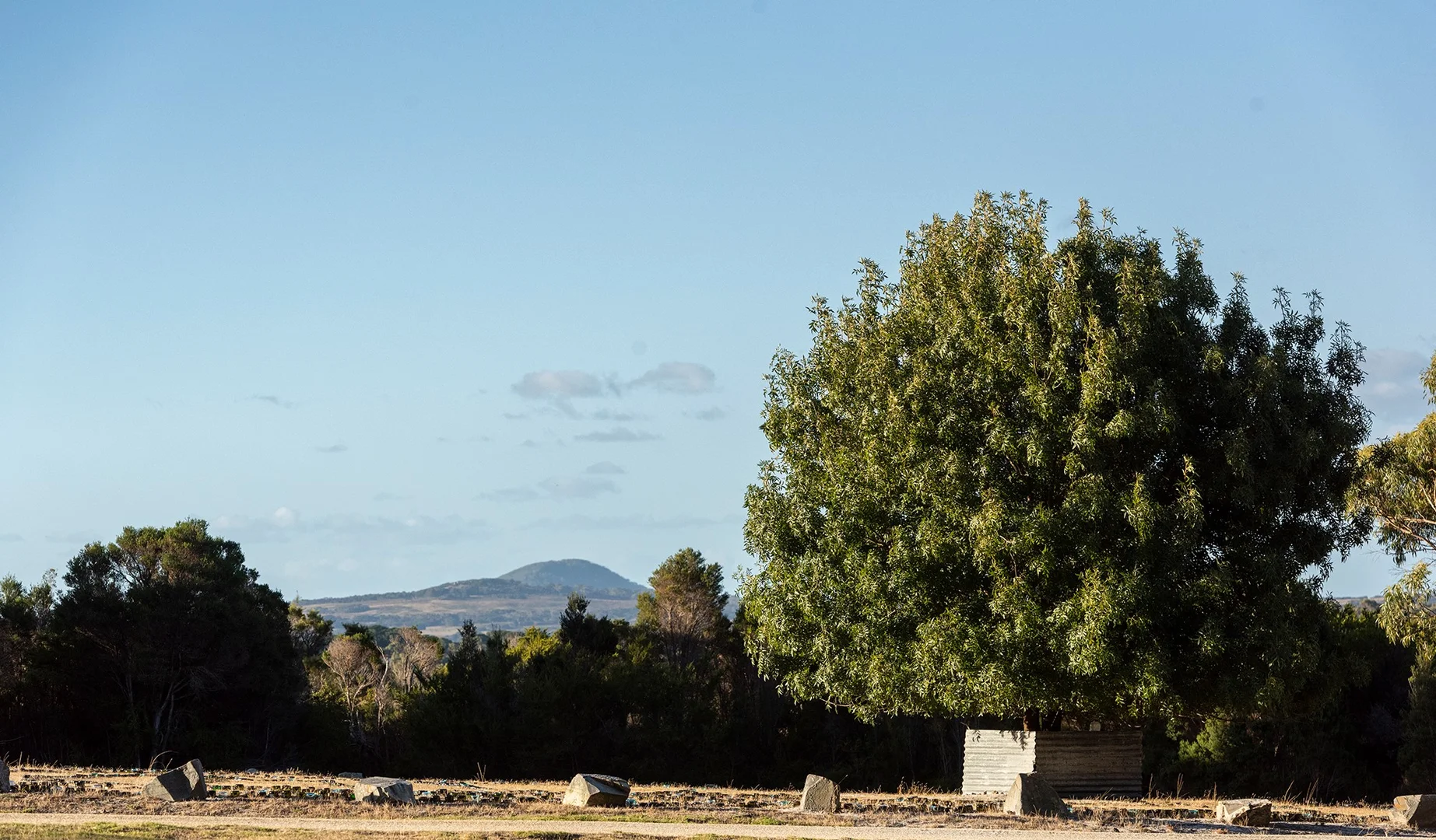 Additional image 24 of 180 Badger Corner Road, Lady Barron TAS 7255