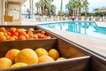 Additional image 29 of 69850 Highway 111 Unit 18, Rancho Mirage, CA, 92270