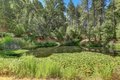 Additional image 6 of 13118 Cement Hill Rd, Nevada City, CA, 95959