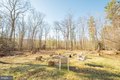 Additional image 51 of 3930 Mayhew Inn Rd, Oakland, MD, 21550