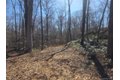 Additional image 2 of South Rd, Holmes, NY, 12531