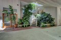 Additional image 63 of 13118 Cement Hill Rd, Nevada City, CA, 95959