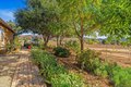 Additional image 44 of 1550 Keyes Rd, Ramona, CA, 92065