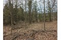 Additional image 11 of Dingman Hill Rd, Bainbridge, NY, 13733