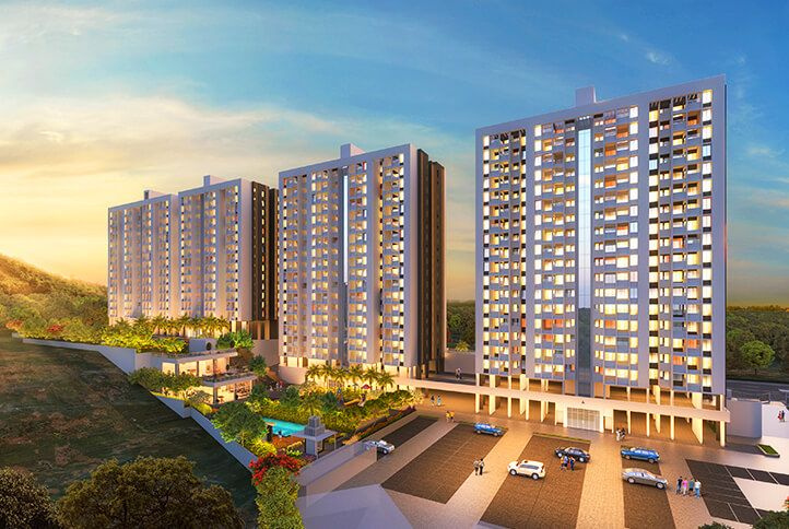 Sus, Pune