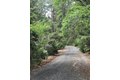 Additional image 36 of 15610 Nopel Rd, Forest Ranch, CA, 95942