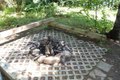 Additional image 13 of 4168 Lake Shore Dr Unit 1376009P, Diamond Point, NY, 12824