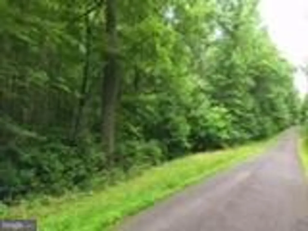 49 Albert Drive, Culpeper, VA 22701