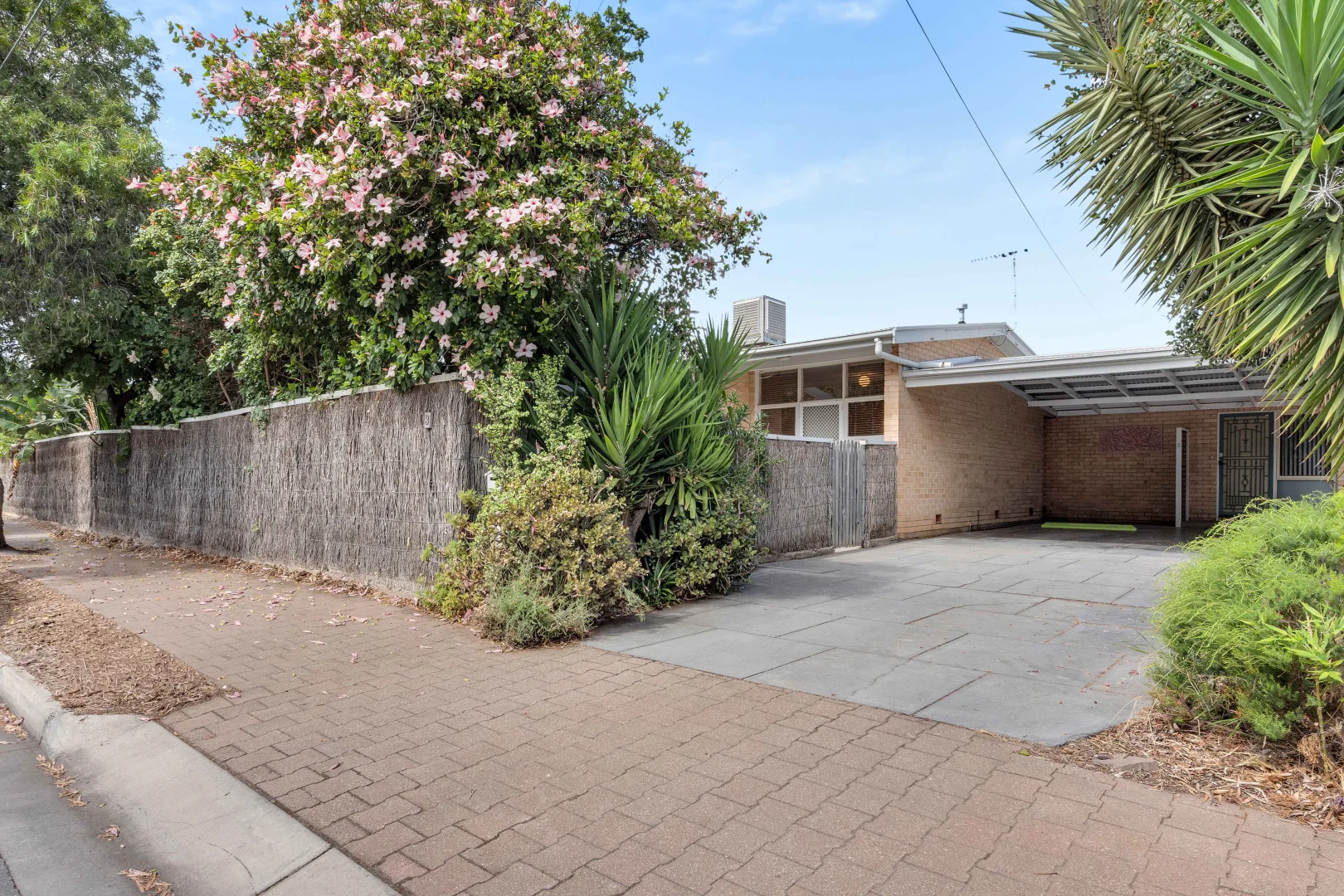 Additional image 12 of 1/3 Downing Street, Hove SA 5048