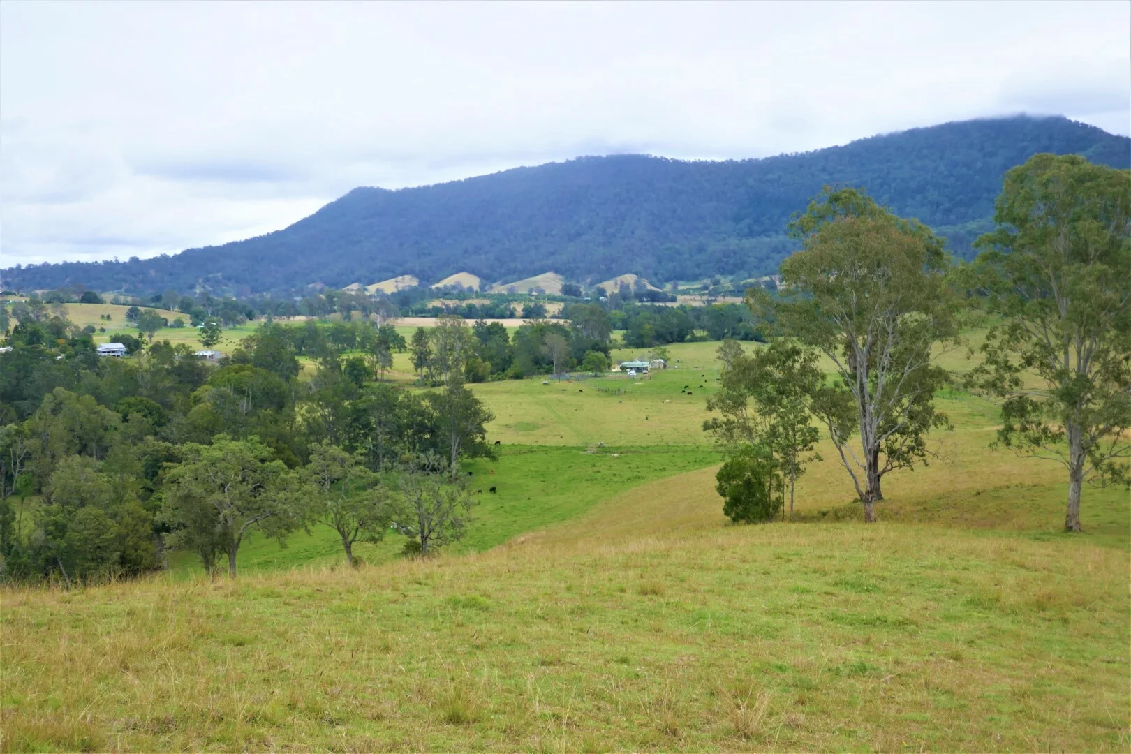 35 Phelps Road, Kyogle NSW 2474
