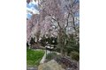 Additional image 48 of 561 Arundel Dr, Severna Park, MD, 21146