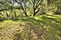 Additional image 11 of 15805 Uvas Rd, Morgan Hill, CA, 95037