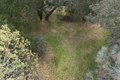 Additional image 38 of 15805 Uvas Rd, Morgan Hill, CA, 95037