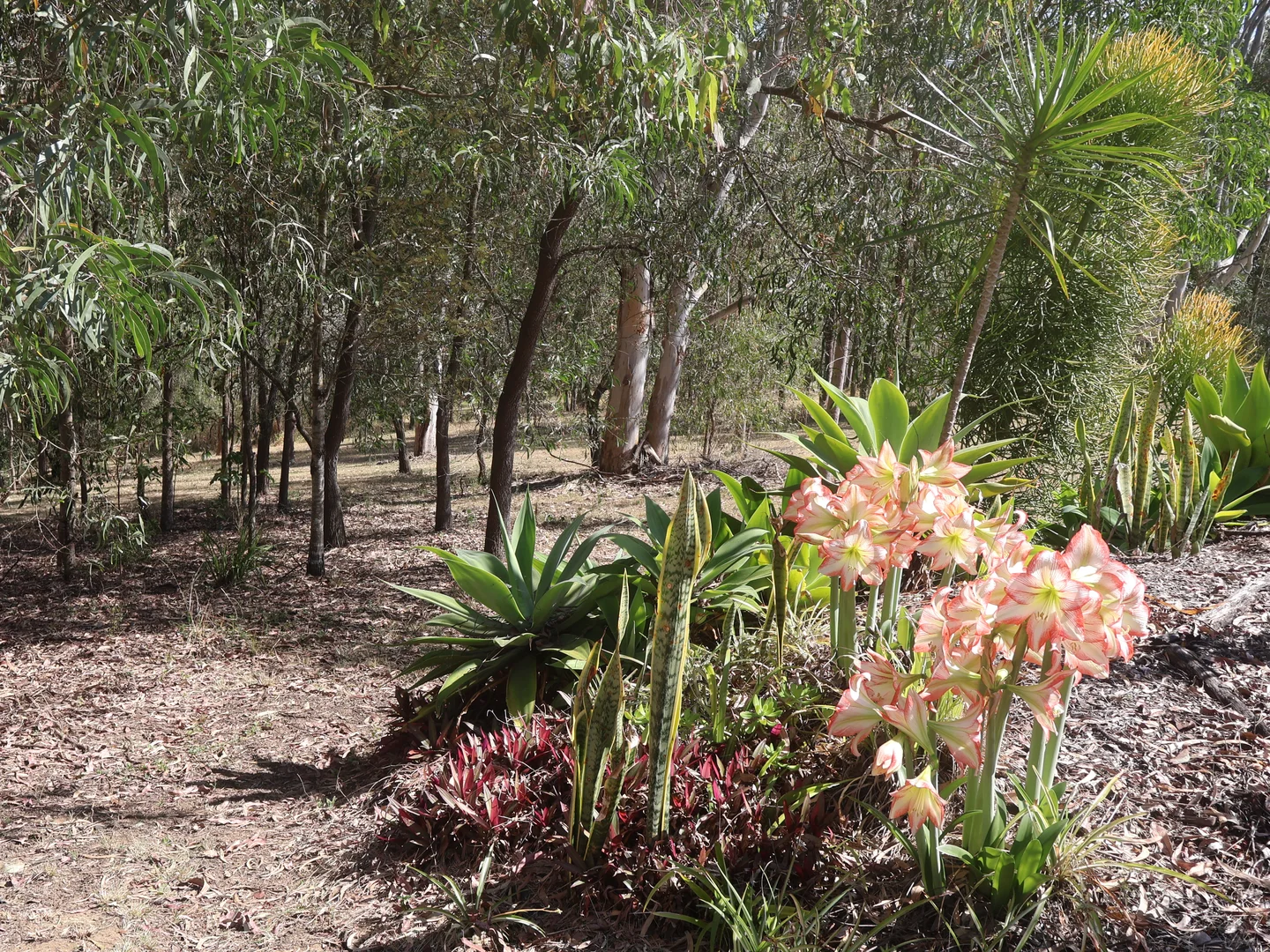 Additional image 10 of 140-146 Stephens Place, Kooralbyn QLD 4285