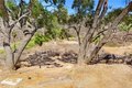 Additional image 42 of 17295 Ridge Canyon Dr, Riverside, CA, 92506