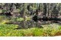 Additional image 85 of 13118 Cement Hill Rd, Nevada City, CA, 95959