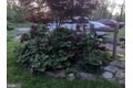 Additional image 48 of 1111 Cummings Ave, Baltimore, MD, 21228