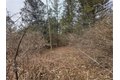 Additional image 16 of Dingman Hill Rd, Bainbridge, NY, 13733