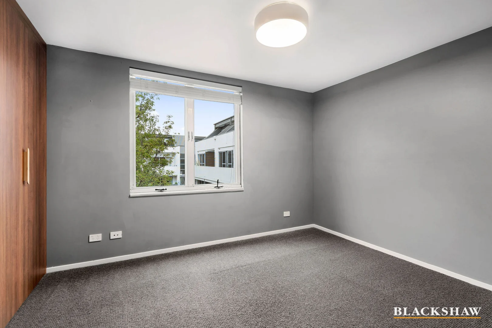 Additional image 6 of 7/16 Macpherson Street, O'Connor ACT 2602