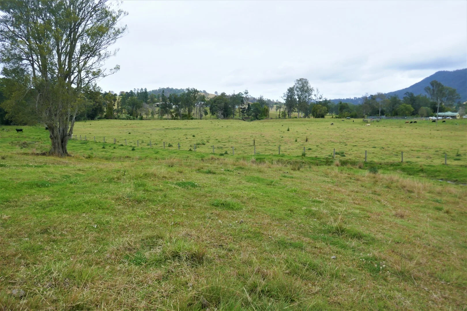 Additional image 19 of 35 Phelps Road, Kyogle NSW 2474