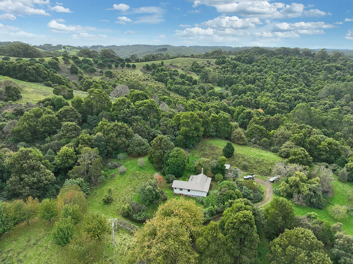 110 Staffords Road, Johanna VIC 3238 photo 2