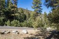 Additional image 6 of 1300 Banff Dr, Pine Mountain Club, CA, 93222