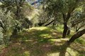Additional image 41 of 15805 Uvas Rd, Morgan Hill, CA, 95037