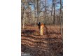 Additional image 11 of 11 Princeton Ave, Egg Harbor Township, NJ, 08234
