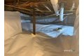 Additional image 28 of 14 Bantam Rd, New Fairfield, CT, 06812