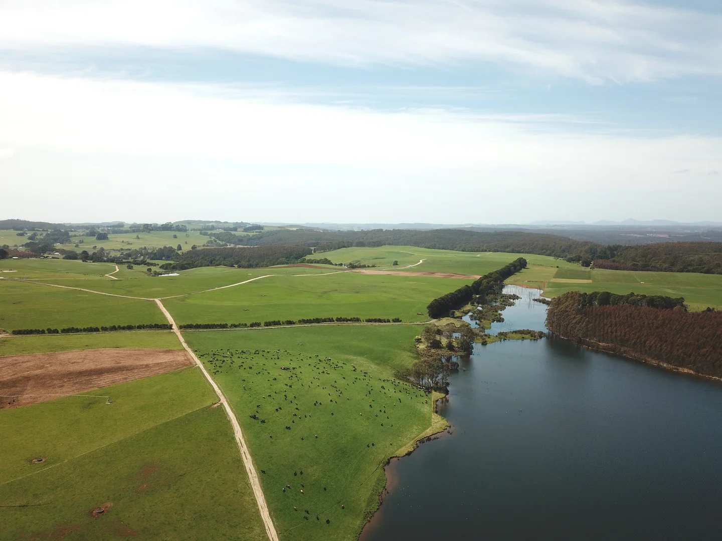 2319 Murchison Highway, Henrietta TAS 7325