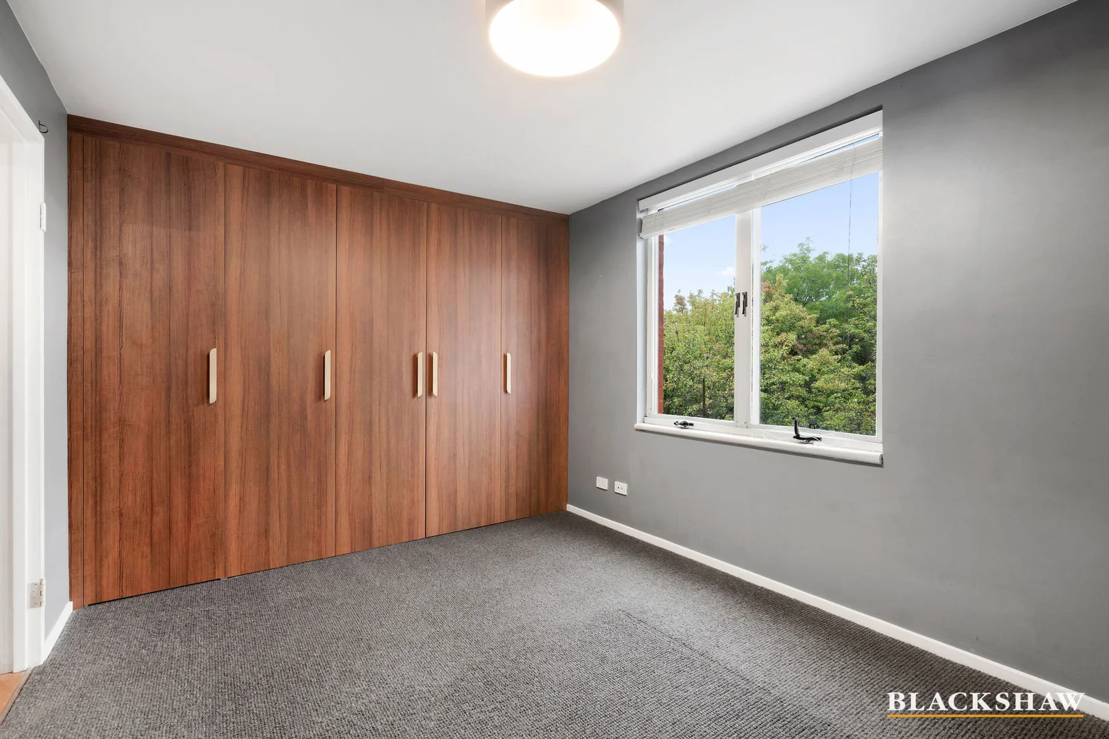 Additional image 7 of 7/16 Macpherson Street, O'Connor ACT 2602