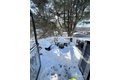 Additional image 22 of 135 Newell Ave, Bristol, CT, 06010