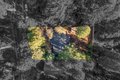 Additional image 40 of 6922 Ridgeway Dr, Pollock Pines, CA, 95726