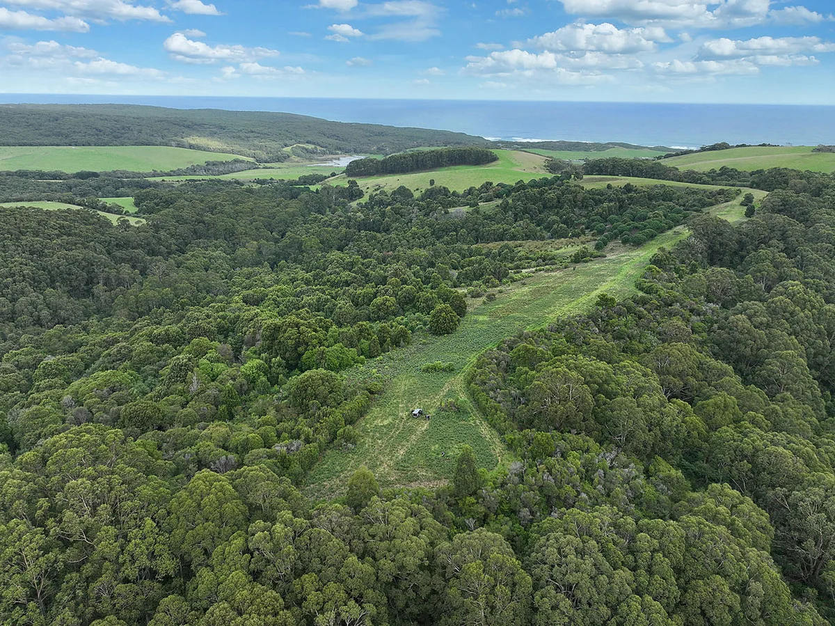 110 Staffords Road, Johanna VIC 3238