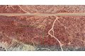 Additional image 18 of 7300 E Vic Mt # Emma and Weber Ranch Rd, Palmdale, CA, 93550