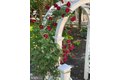 Additional image 13 of 11 Princeton Ave, Egg Harbor Township, NJ, 08234