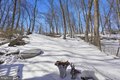 Additional image 21 of 164 York St, Lambertville, NJ, 08530